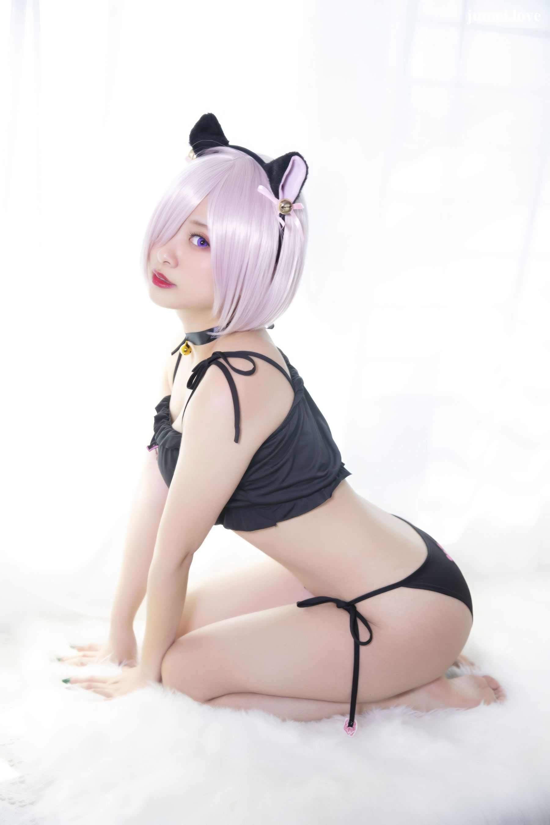 动漫博主洛璃LoLiSAMA - FGO 玛修 猫咪 第22张