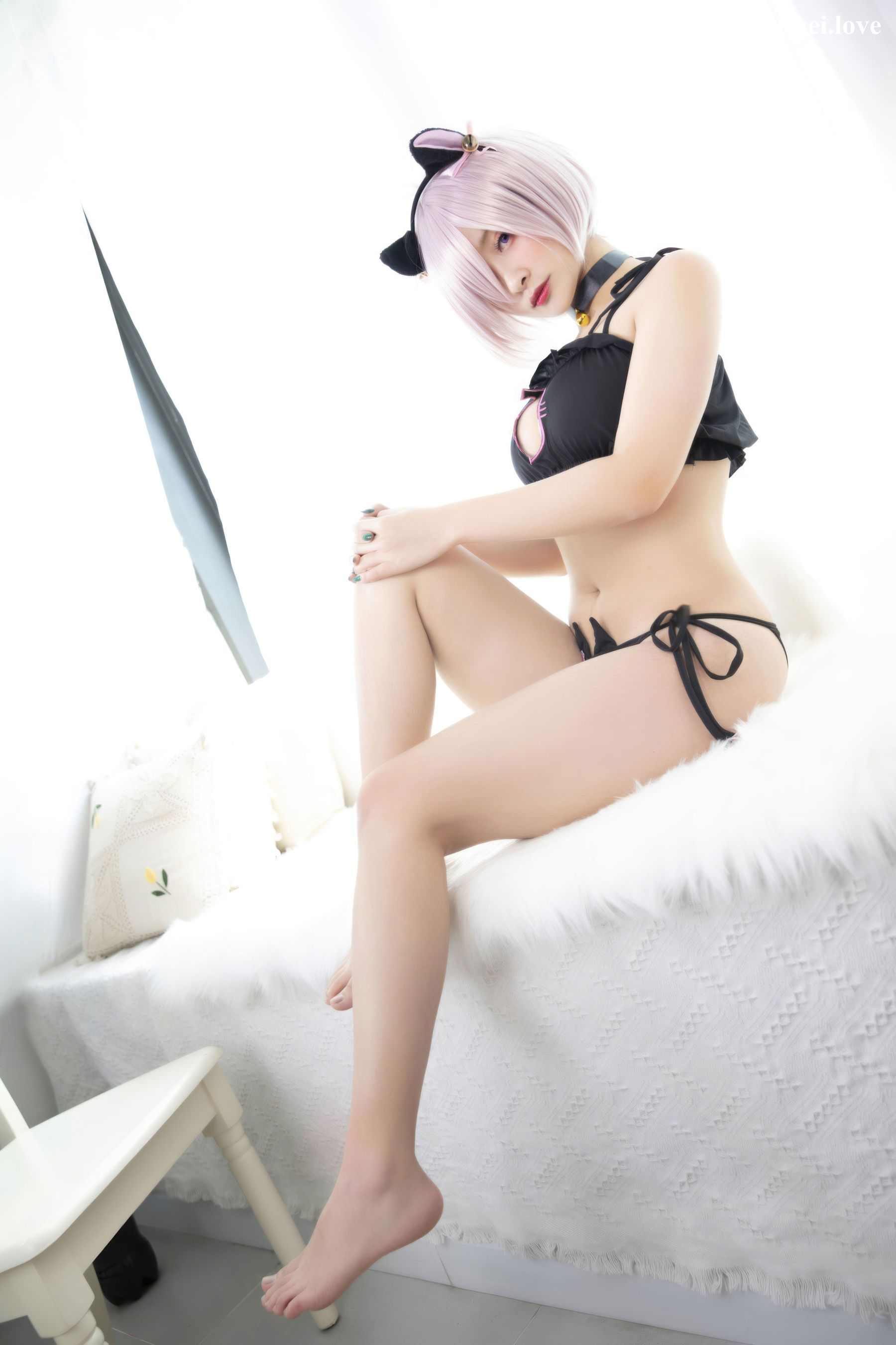 动漫博主洛璃LoLiSAMA - FGO 玛修 猫咪 第7张