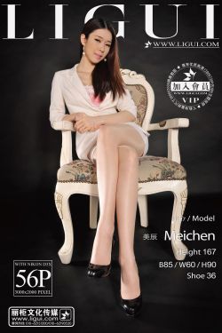 [丽柜贵足LiGui] Model 美辰《OL时尚丽人》美腿丝足写真图片
