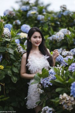 米浆 - 绣球花