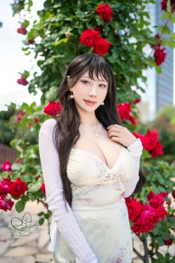 Hane Ame 雨波 写真 - 玫瑰刚好绽放