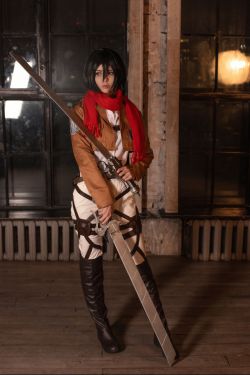 Vinnegal - Mikasa