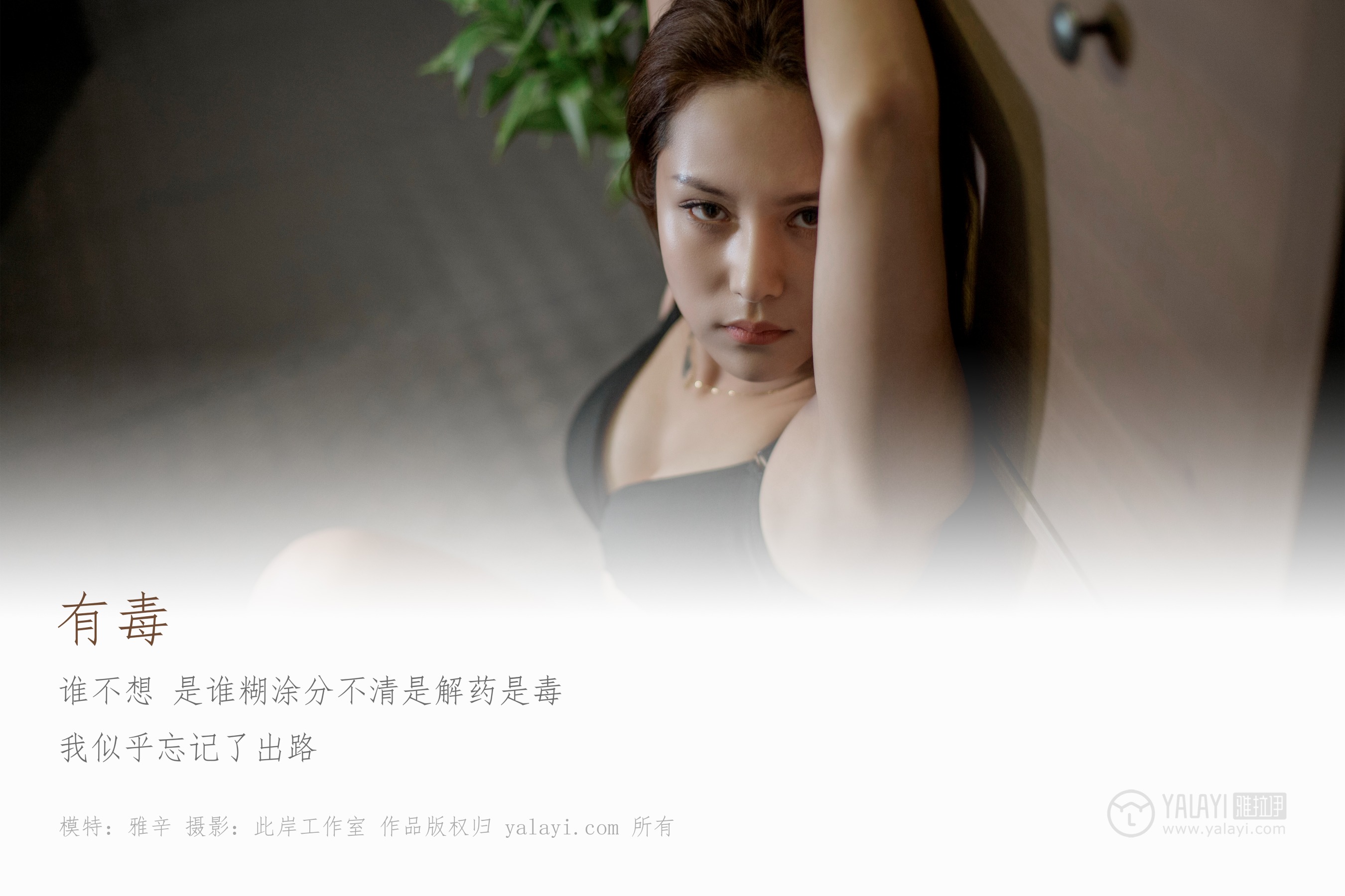 [YALAYI雅拉伊] NO.287 有毒 雅辛