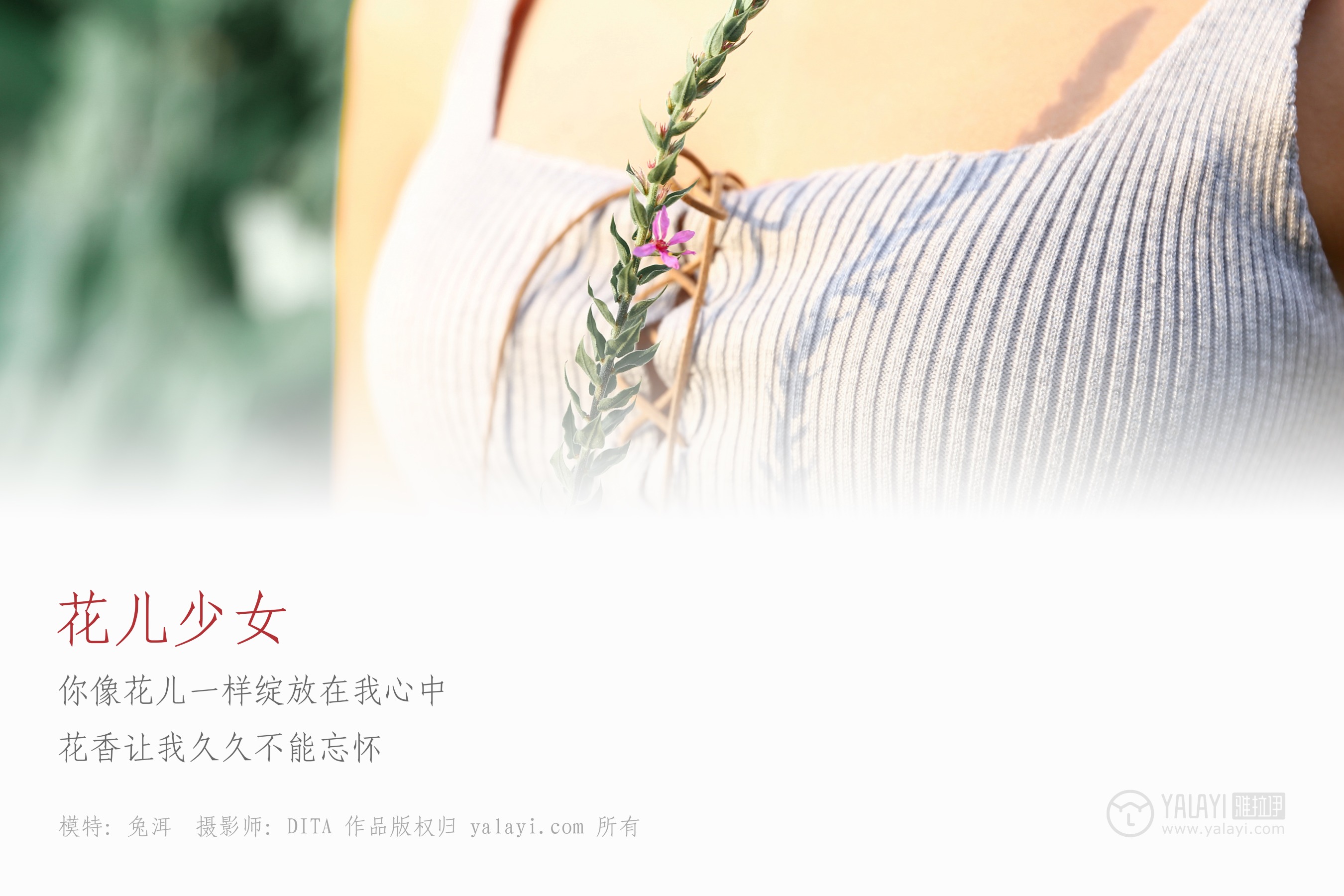 [YALAYI雅拉伊] NO.026 花儿少女 兔洱