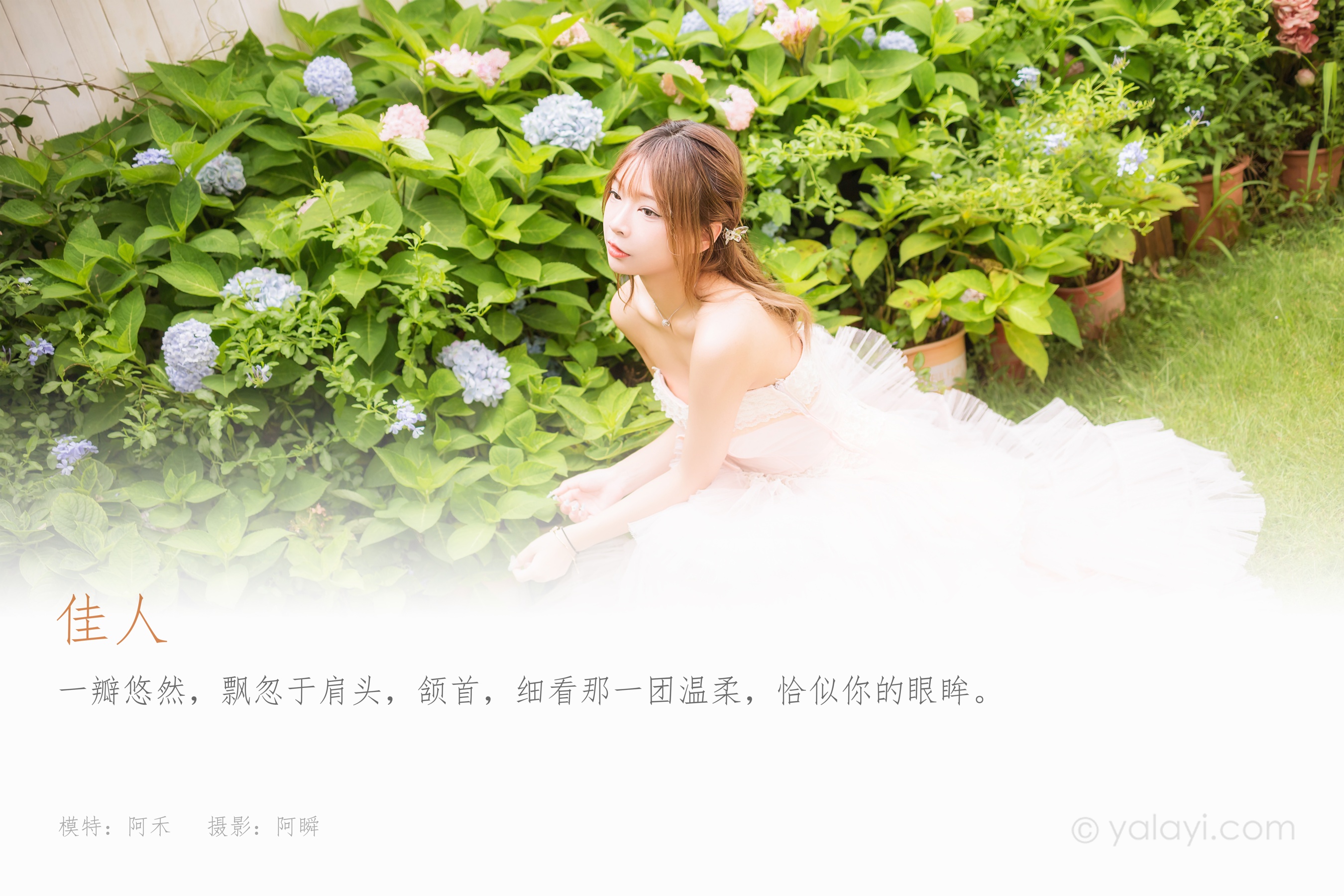 [YALAYI雅拉伊] 2022.08.22 NO.965 佳人 阿禾