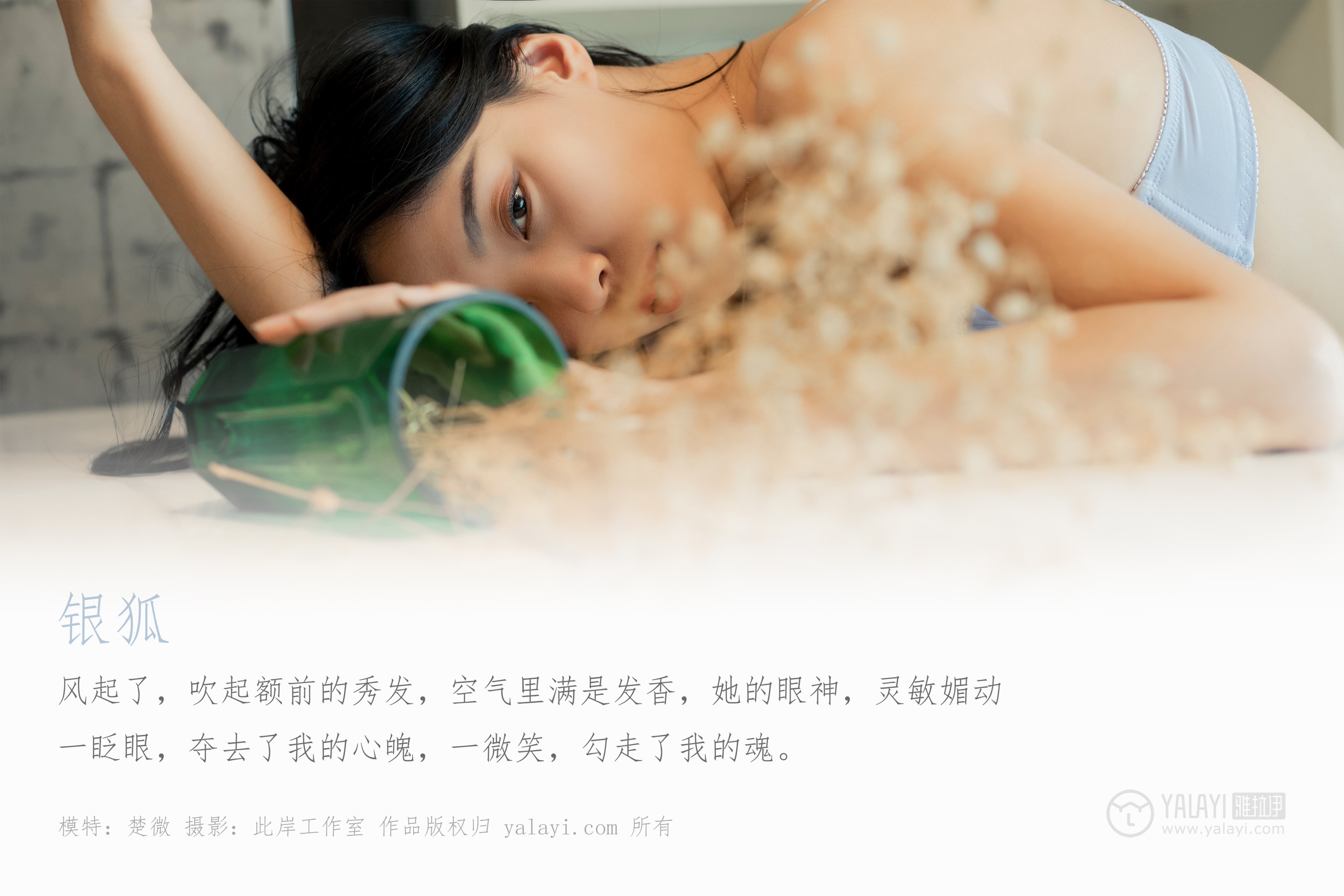 [YALAYI雅拉伊] NO.324 银狐 楚薇