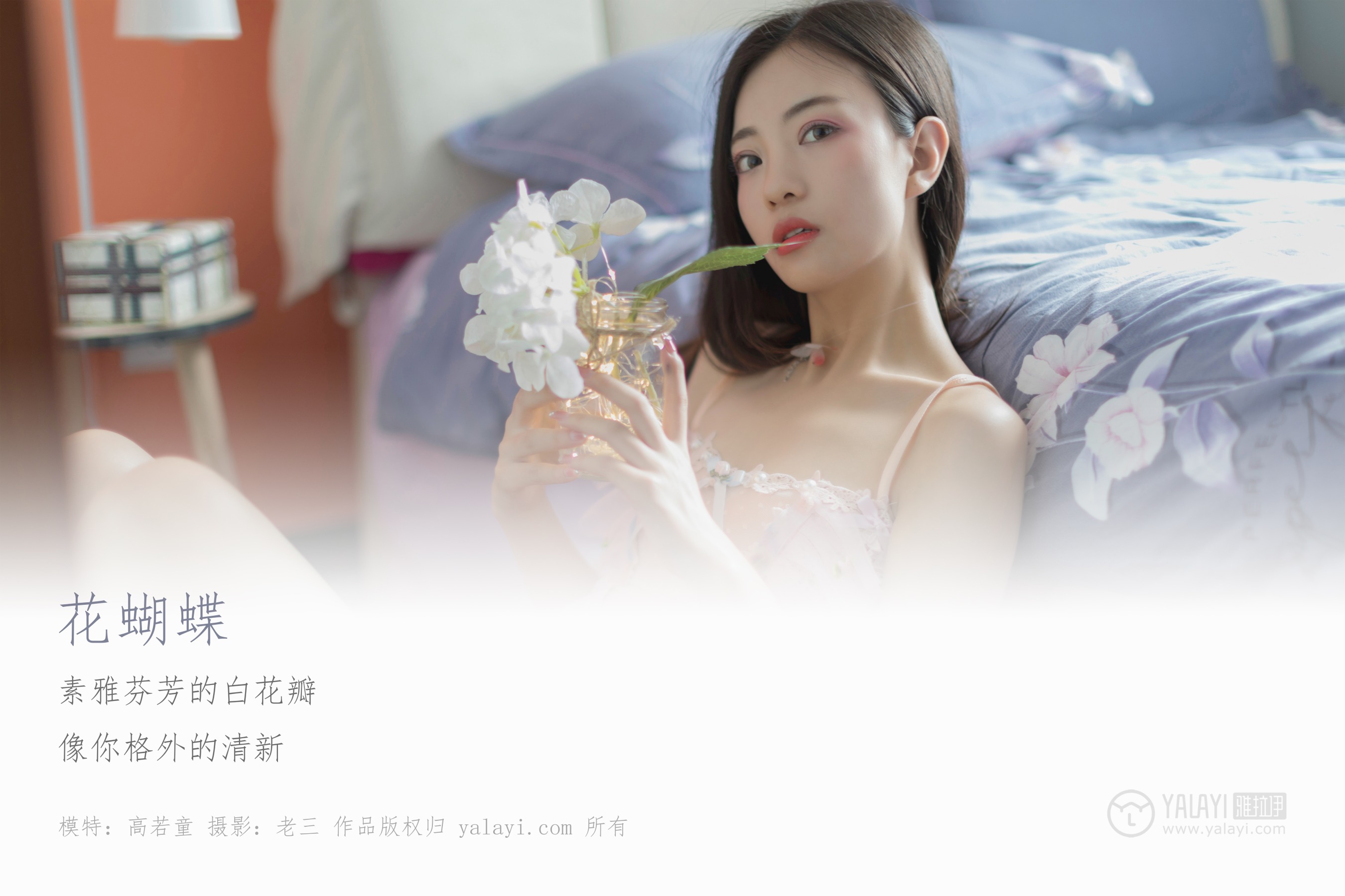 [YALAYI雅拉伊] NO.311 花蝴蝶 高若童