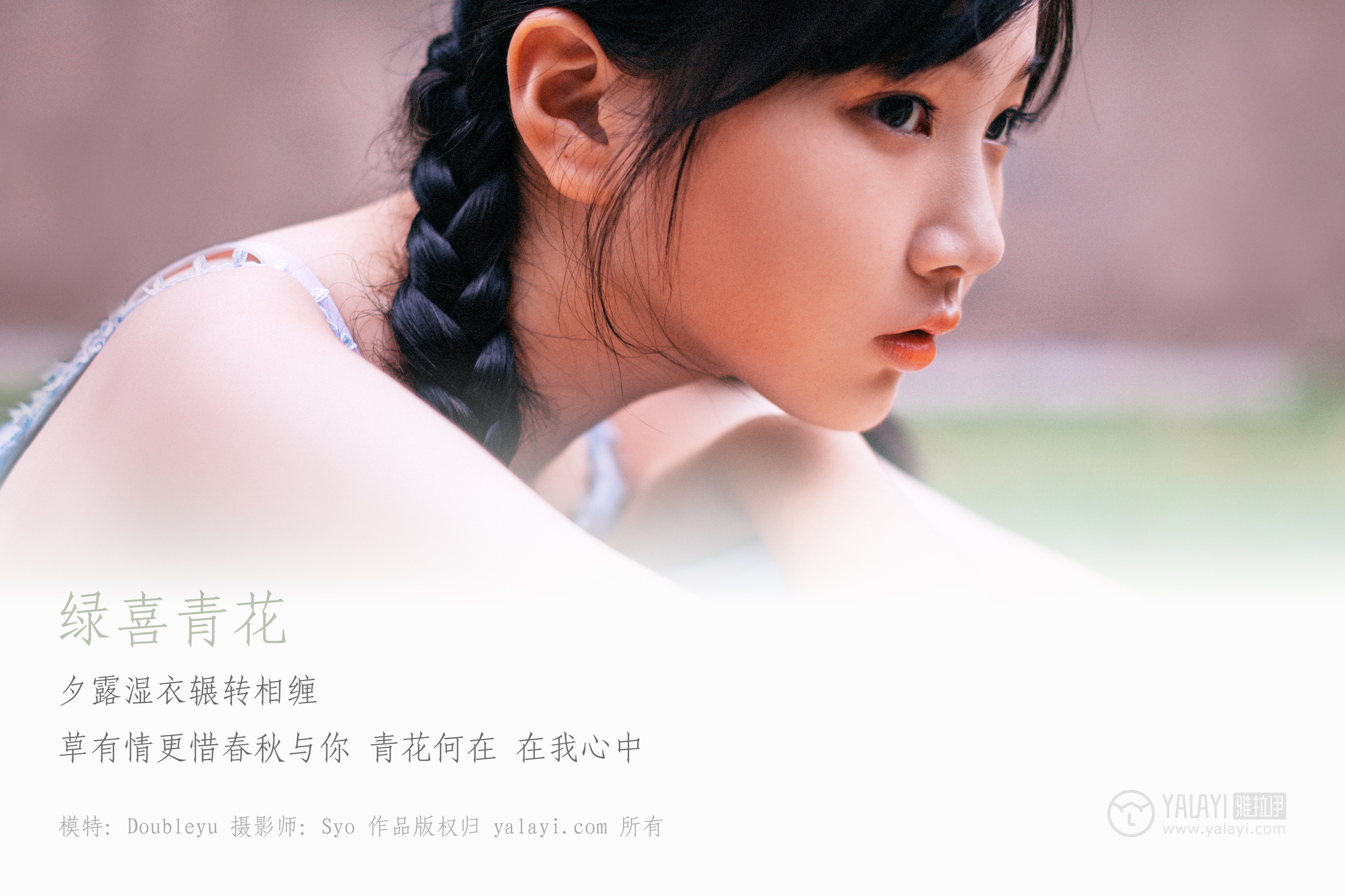 [YALAYI雅拉伊] NO.082 绿喜青花 Doubleyu
